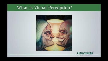 INTRODUCTION INTO VISUAL PERCEPTION