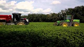 Vector 300 Stuck In Cotton