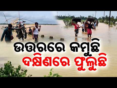 Odisha Flood Situation: North To South Under Water | Crops Destroyed | New Rain Alert | Argus News