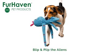 Corduroy & Crinkle Plush Dog Toy - Blip & Plip the Aliens - Furhaven Pet Products by Furhaven Pet Products Inc 47 views 1 year ago 1 minute