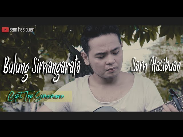 BULUNG SIMANGARATA (TOP SIMAMORA) - SAM HASIBUAN COVER [Lirik] class=