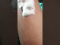 name tattoo @Nakshatra tattoo studio Nagarkurnool