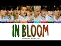 ZEROBASEONE 제로베이스원 In Bloom 1 HOUR LOOP Lyrics 1시간 가사