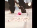 شيلة عزيز النفس