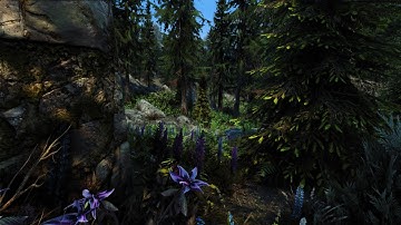 Skyrim Flora Overhaul with Complex Grass for ENB (using Re-Engaged)