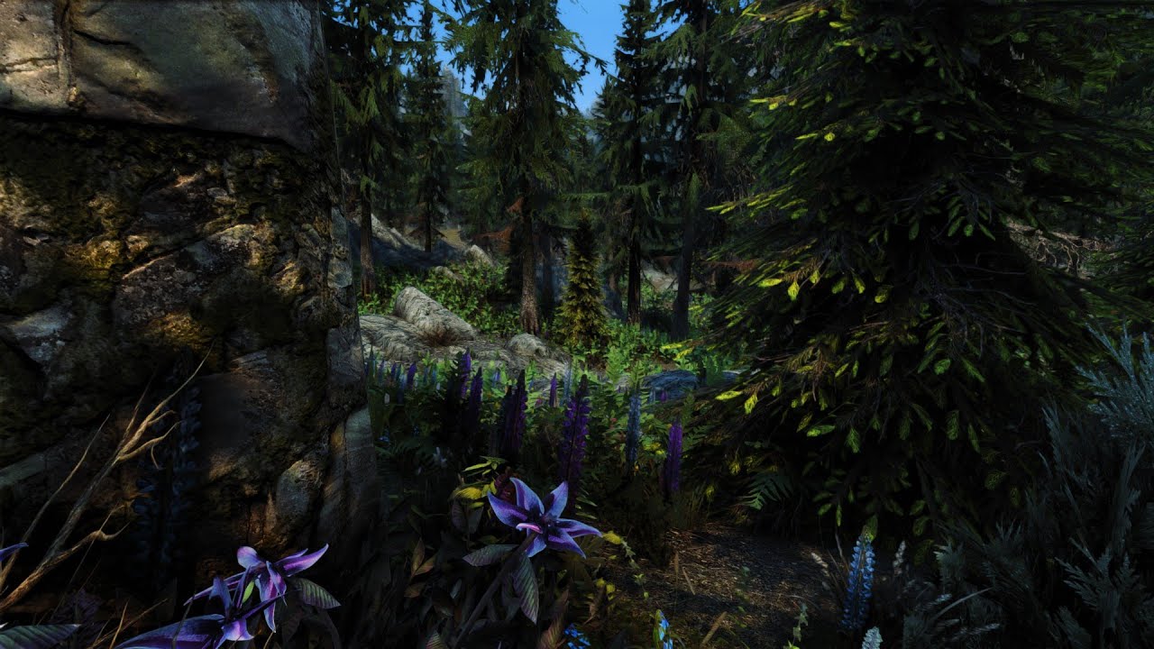 Skyrim Flora Overhaul with Complex Grass for ENB (using Re-Engaged)