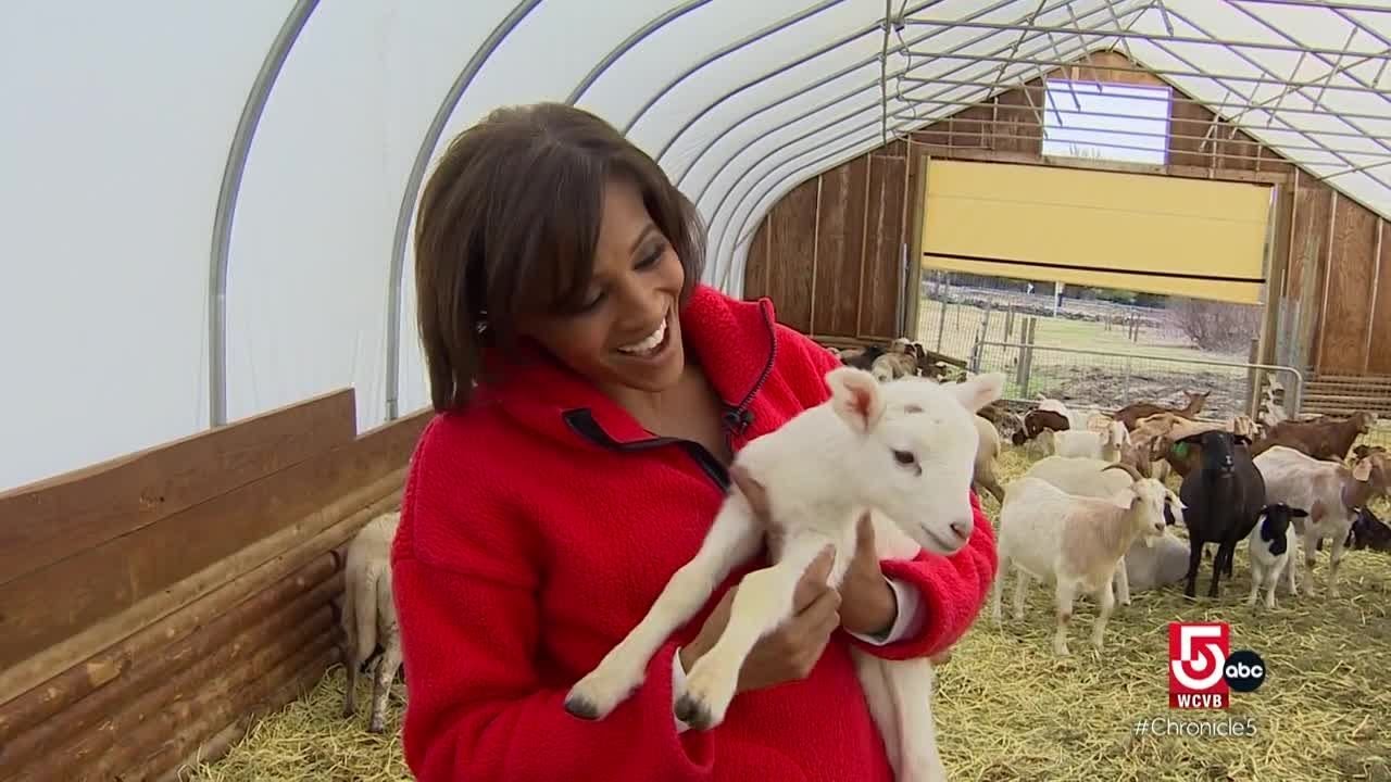 Spring has sprung in Massachusetts, and it’s time to venture outside