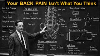Real Science Behind Chronic Back Pain And How To FIx It