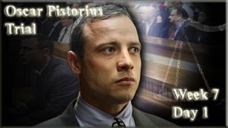 Oscar Pistorius Trial: Monday 5 May 2014, Session 2