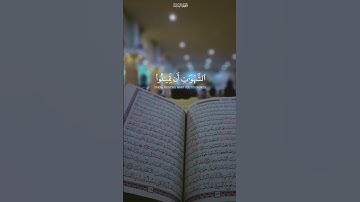 (و الله يريد أن يتوب عليكم)ما تيسر من سورة النساء بصوت القارئ ياسر الدوسري ❤️🥰 #القرآن_الكريم