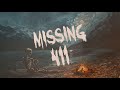 What is hiding in the woods  missing 411