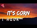 [1 HOUR 🕐 ] it's corn kid tiktok song lyrics it's corn a big lump of knobs
