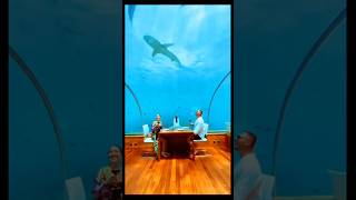 The Most INSANE Dining Experiences on Earth