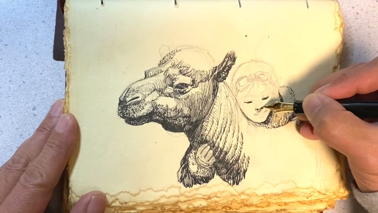 動物と人。【漫画家の才能は無いが漫画を描く】【絵の修行】【How to draw illustrations】