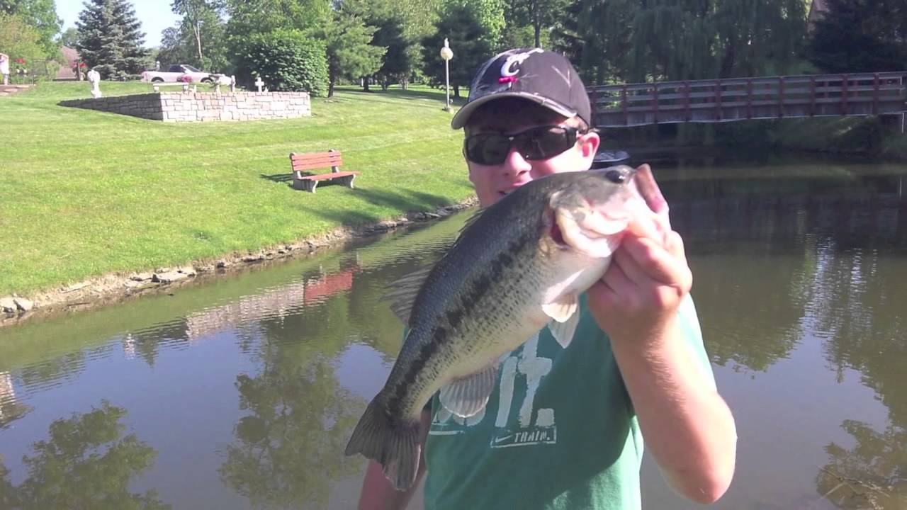 Pond Bass And Catfishing YouTube