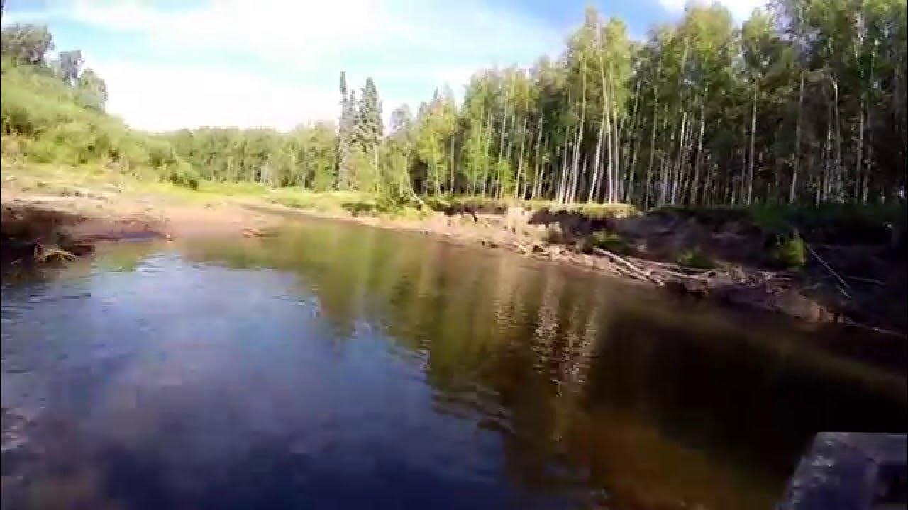 Summer Jet Boating in Minto Flats, Alaska YouTube