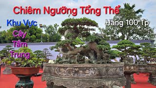 SOI KỸ hàng 100 TP XUẤT SẮC * Tầm Trung * tại TRƯNG BÀY RA MẮT NV Hoàng Hương - An Dương .