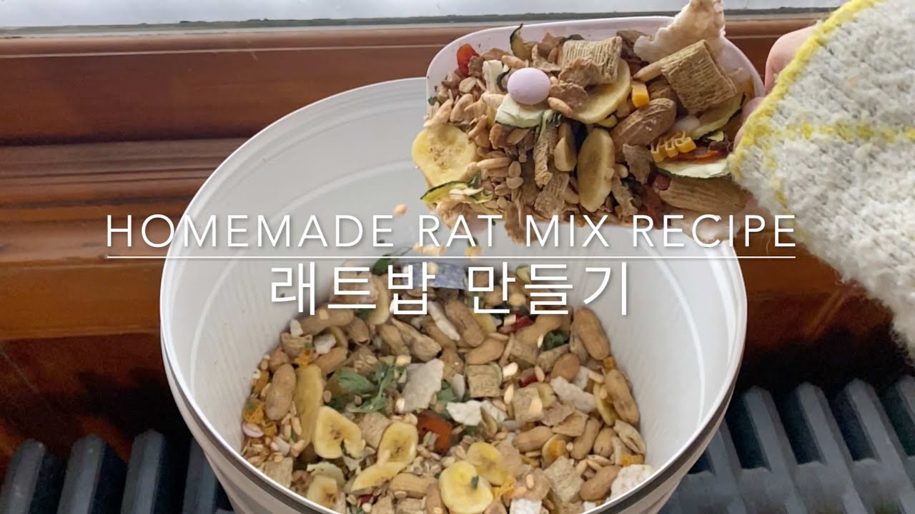 [Eng Sub] 래트 사료 만드는법 | Rat dry food recipe - YouTube