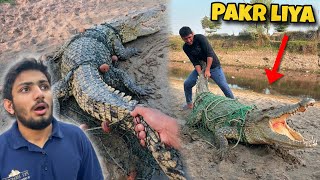 Crocodile Ko Pakr Liya Waleed Bhai Ne Help Ki