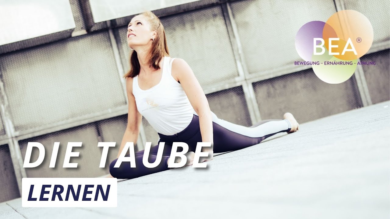 Die Taube lernen für Anfänger in einfachen Schritten | Kapotasana