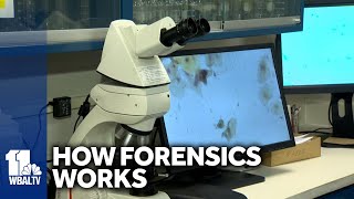 Police forensics team shows how it processes evidence