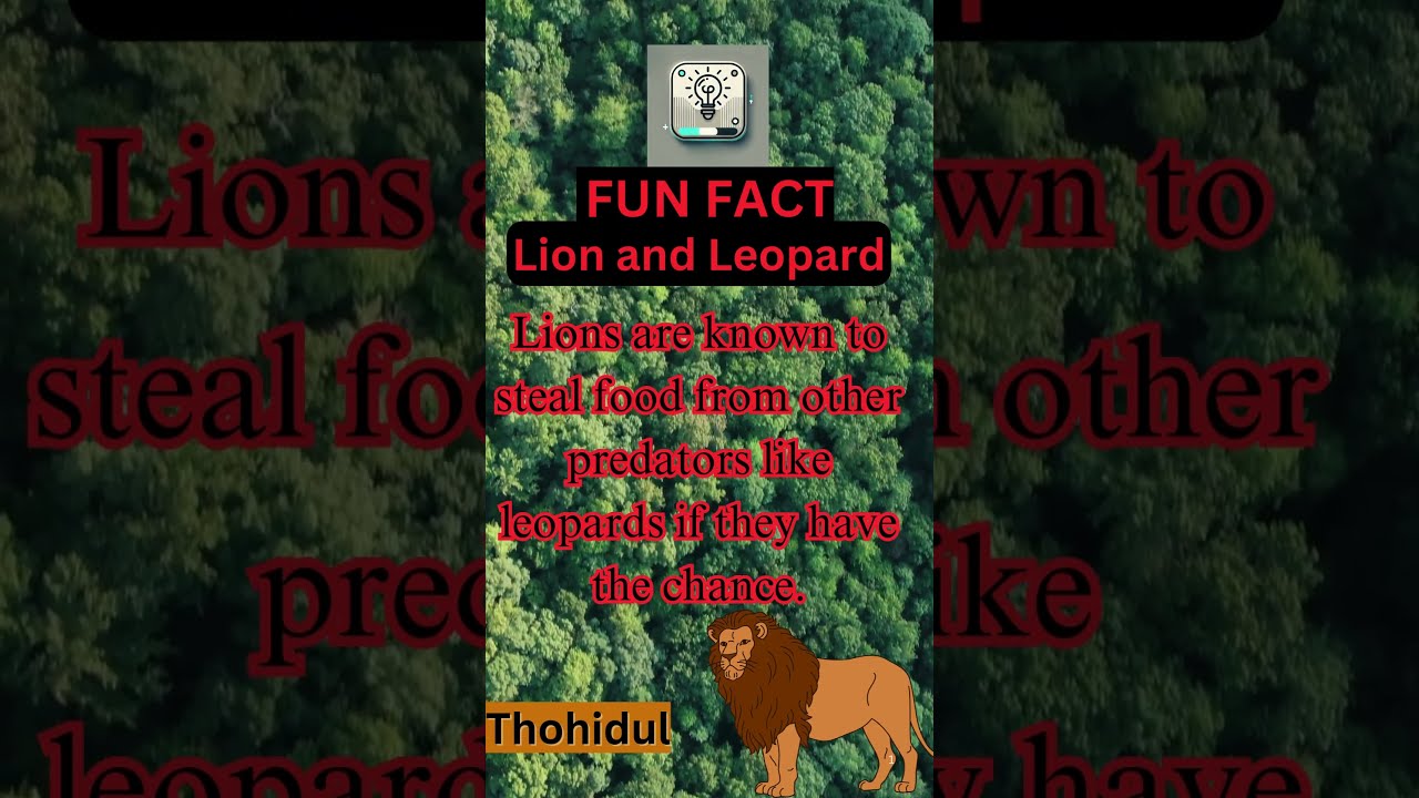 Opportunistic Hunters: How Lions Steal Prey! 🦁 