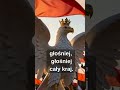 Ta piosenka o 3 Maja wywołuje ciarki! 🇵🇱🔥