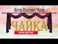 А.П. Чехов, &quot;ЧАЙКА&quot;, второе действие 2015 год (РНДТ)