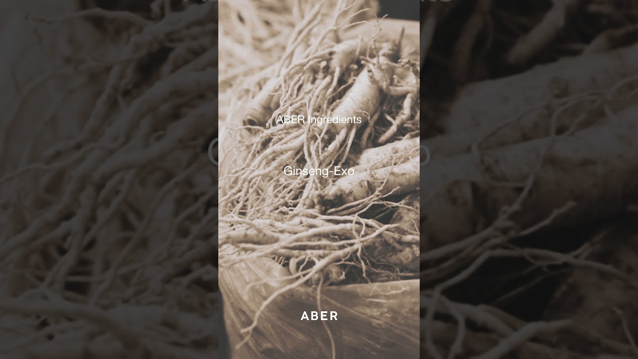 에이버 ABER