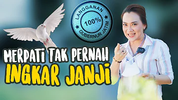 Rasa Nikmat Tingkat Dewa | Merpati Tak Pernah Ingkar Janji