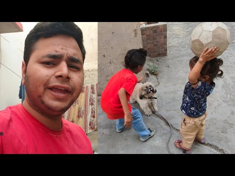 Dollar के साथ फुटबॉल मैच! 🐕⚽