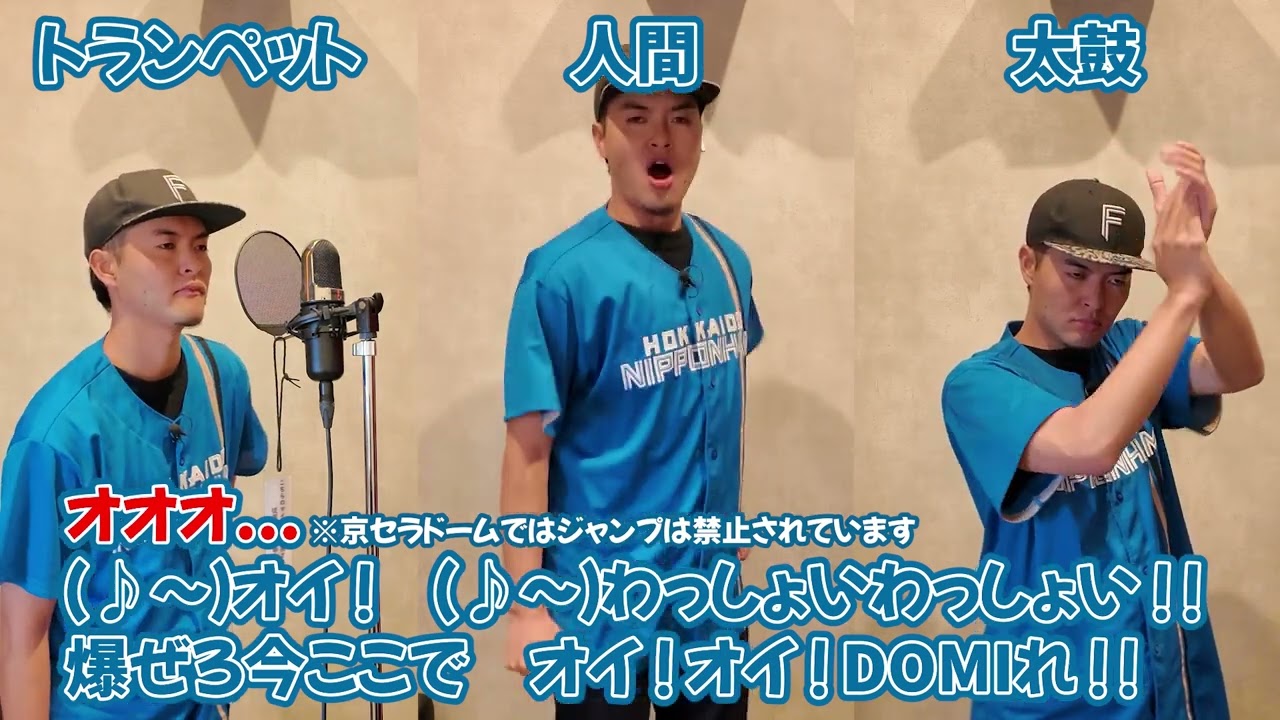 Hokkaido Nippon-Ham Fighters Kansai Limited Multi-Theme 