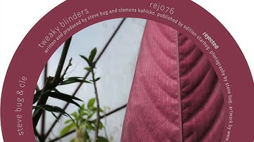 Steve Bug & Cle - The Bark Side Of The Moog