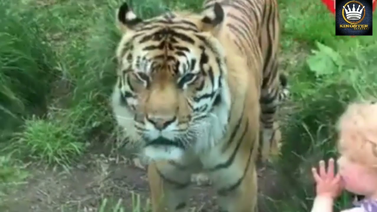 Caption this! : Satwik Shivoham  