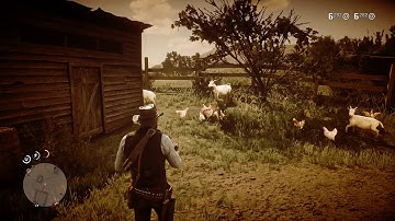 How to complete sharpshooter challenge 5 - Red Dead Redemption 2