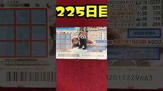 【２２５日目】100万円当たるまで毎日宝くじ買うチャレンジ【にじさんじ/グウェル・オス・ガール】