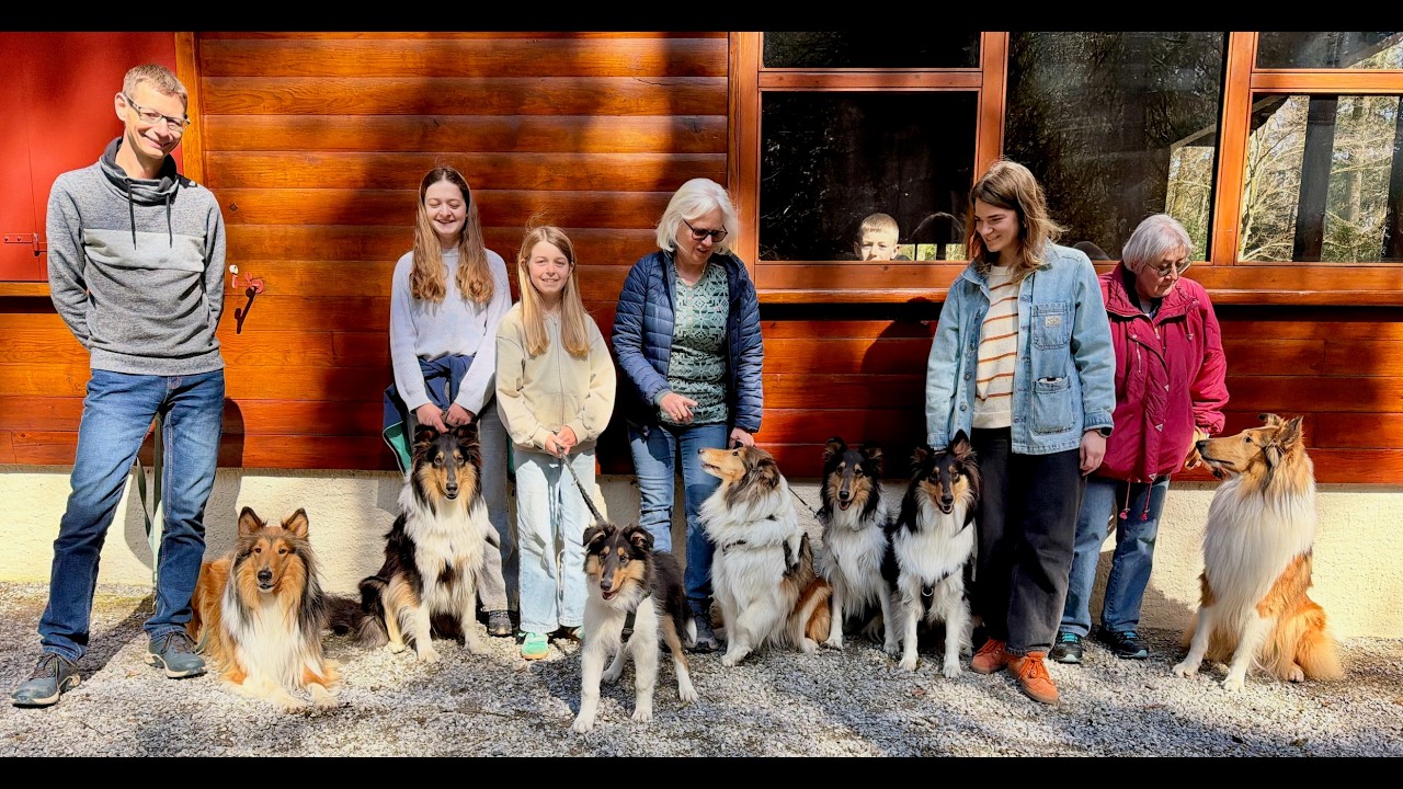 Events mit Collies vom Seehain Familien