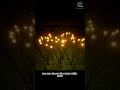💡Adorable Fireflies Sway with the Wind in the Garden💡