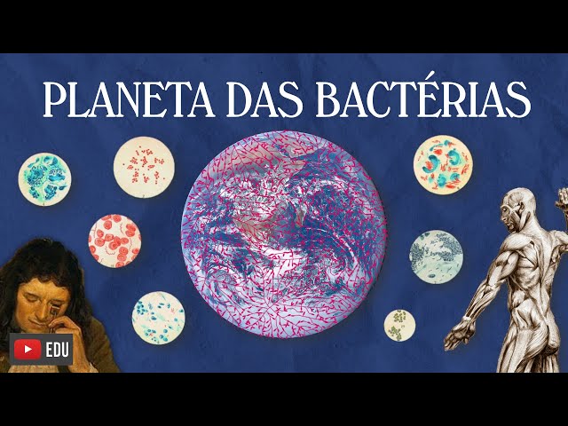 Portal del Profesor - O mundo microscópico das Bactérias