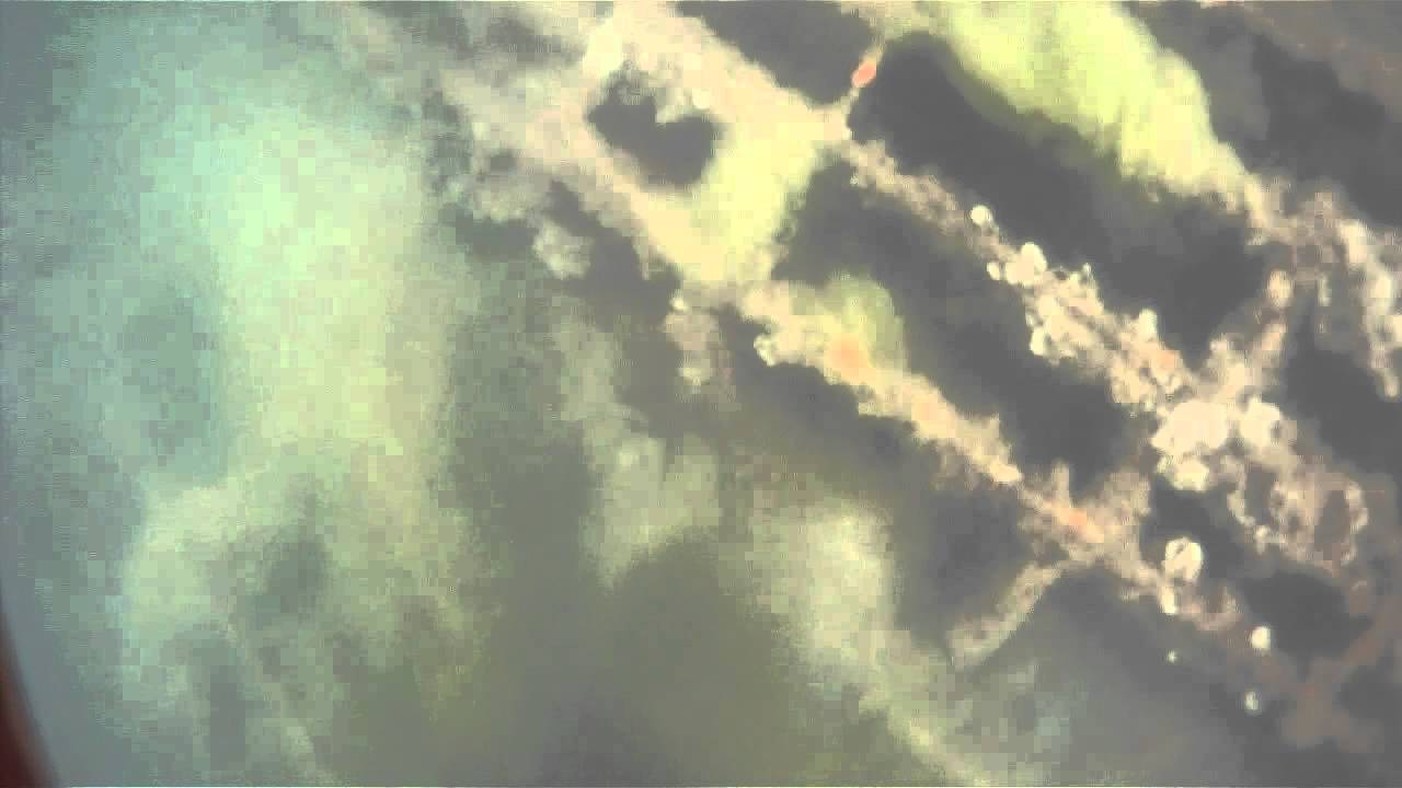 Les fonds au large de l'île Godec