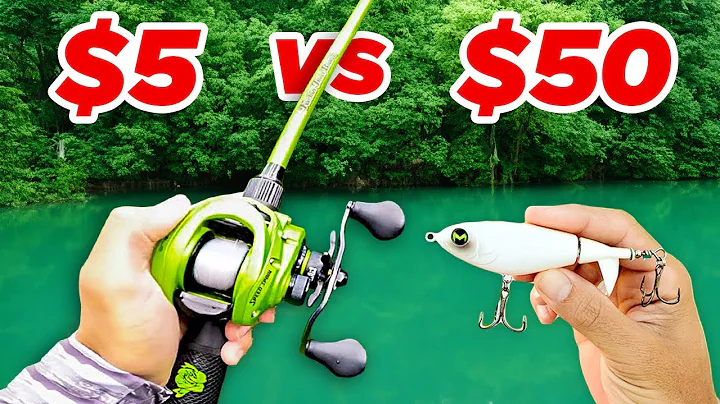 $5 vs $50 Budget Fishing Challenge (Walmart)