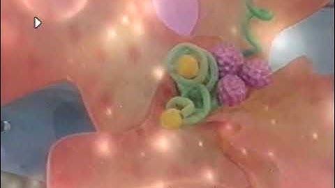 In Outer Space (2017 Version) Part 42