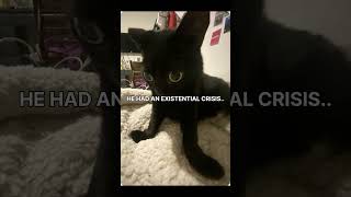 No evillary today.. #cats #creepy  #memes #funny #shorts