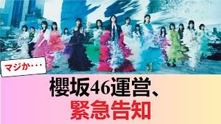【速報】櫻坂46運営、緊急告知 #櫻坂46 #櫻坂46反応集 #そこさく