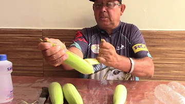 Quantos dias dura o milho na palha?