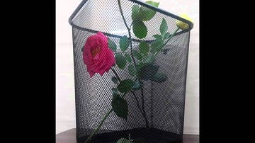 Thùng rác lưới, thùng rác lưới thép phun sơn, thùng rác văn phòng - 0917277569 - 0918730402