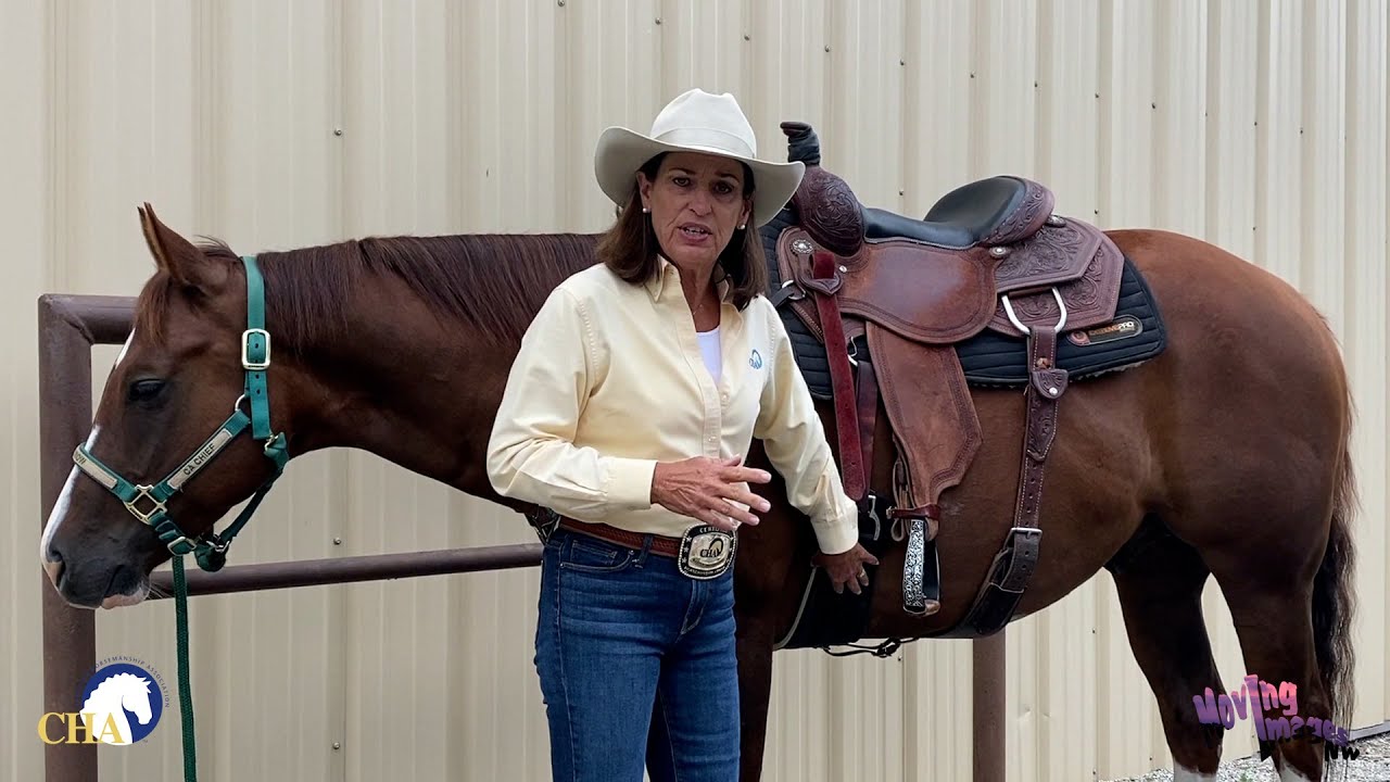 Breast Collar and Rear Cinch Adjustment with Julie Goodnight YouTube