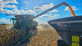 When Things Break Down We Have to Improvise by Millennial Farmer 425,022 views 5 months ago 21 minutes
