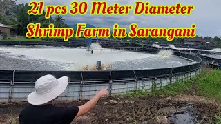 Visiting One of the Largest Shrimp Farm in Kiamba, Sarangani Province