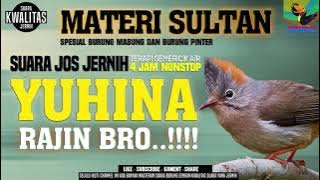 YUHINA Gacor buat Isian Murai batu || Suara Jernih || Materi mewah gacor owor owor..!!